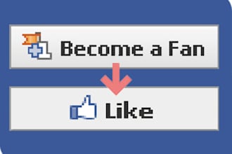 send 501 facebook likes or fans very fast on your fan page