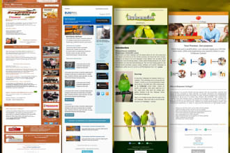 design mailchimp email newsletter, mailchimp email template, and campaign