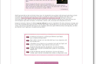 send you 54 professionally designed minisite template