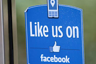 get you 200 likes to 2 facebook fanpages within 2 business days