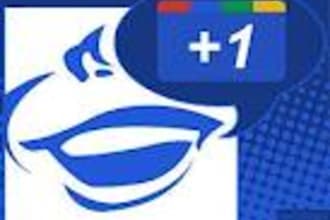 get you 550 REAL google plus one to your home page and other page
