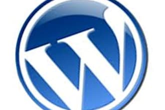 fix any wordpress site problem or error