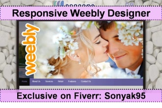 modify or design redesign your premium weebly website
