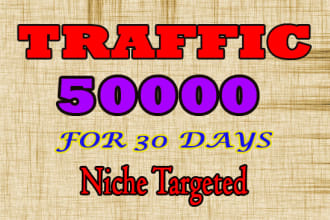 drive 50k usa niche targeted,visitors website,traffic