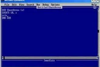 program ANYTHING for you in qbasic, or a Windows form application in VBasic