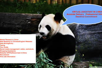 be your chinese virtual assistant web search date entry market app test in china