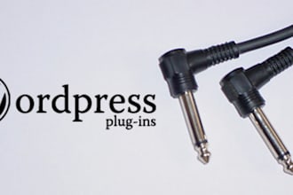 fix/resolve any issues/problems related to your wordpress widget/plugin/themes