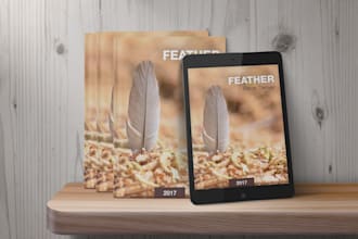 put your ebook, book cover as a promo shot