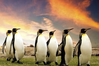 give you 3 Google penguin pr 4,and 2 pr1s permanent Do Follow Backlinks Blogroll listing on legit pr sites