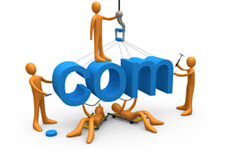 make you a professional website