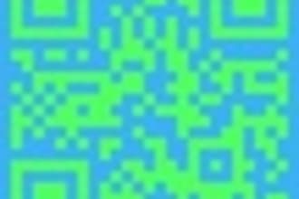 create a Professional QR code with information about your business