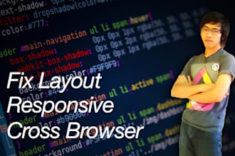 fix any CSS Errors or Issues within 24 hours