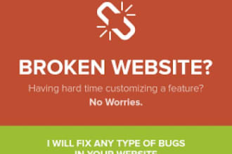 fix website issues on VPS and Dedicated server