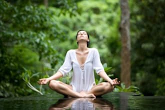 send you 190+ Yoga plr articles