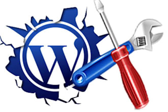 install, update WORDPRESS, your theme, plugins and deliver in 24Hours