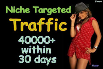 analyze and send 40k professionally targeted usa web traffic