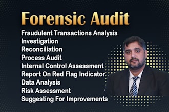 do forensic audit for your business