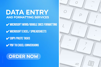 do data entry and word formatting services