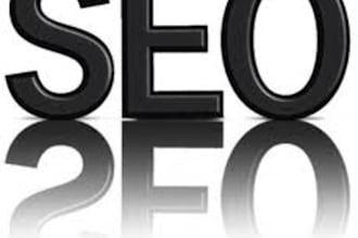 perform a full month of proper white hat SEO on your website