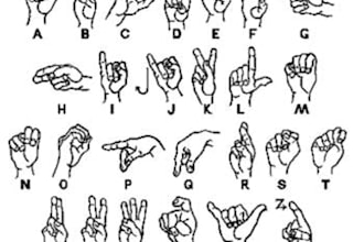 teach you 5 easy sentences to say in sign language