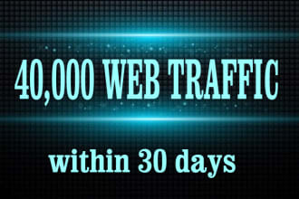 usa targeted unlimited daily traffic,visitors for 30 days
