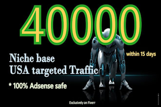 generate 40k super quality niche targeted web traffic