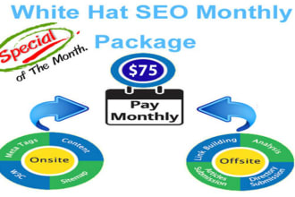 do monthly full SEO service with visible reporting
