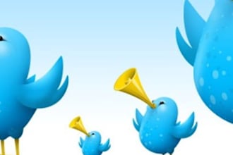 retweet to my 8,000+ real followers on my personal twitter account