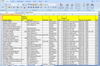 do data entry, web research word,excel,visio,pp,access