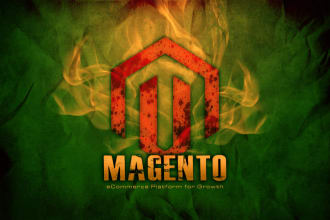 diagnose troubleshoot debug fix magento websites