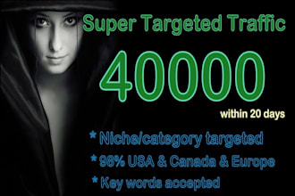send professionally targeted 40k super web traffic
