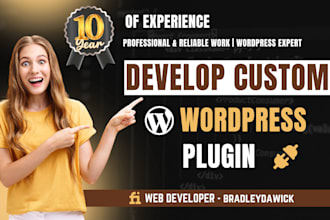 develop custom wordpress plugin