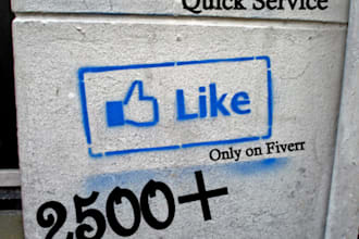 give you 2500+ Facebook likes for your fanpage with in 48 hours