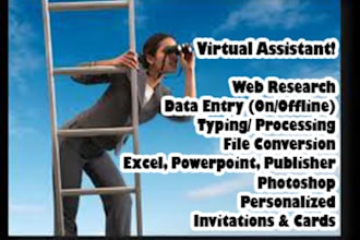 do your 2 hours data entry, collection and web research