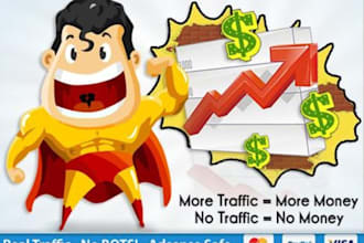 improve Your Traffic By Sending Real 3000 Traffic To Your Website