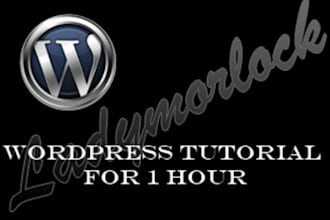 teach you how to use Wordpress for 1 Hour