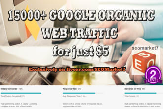 drive 15k google organic traffic, targeted visitors