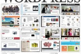 help setup wordpress and plugin ecommerce