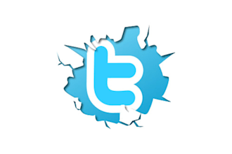 add 6000 + 1000 bonus real twitter followers in maximum 7 hours to make you popular on twiitter