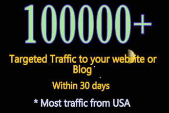 analyze and bring 100k niche targeted US website traffic