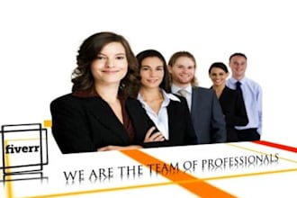 make this BUSINESS intelligent and nice presentation within 24 hours