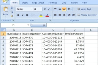 create excel spreadsheet , PDF to excel , formulas calculation