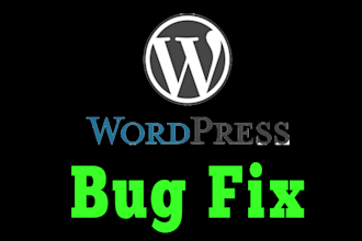 fix your wordpress website issues