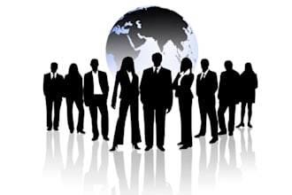 provide professional consulting to your website