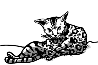 draw or Doodle you a cartoon
