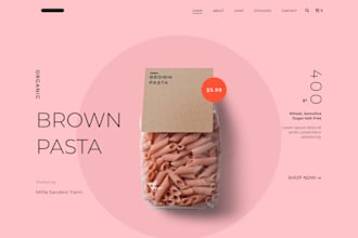 build a professional wordpress website design and an ecommerce website