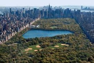 hand out flyers in central park NYC
