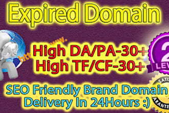 find SEO friendly high metrics expired domain