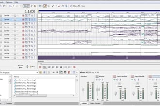 arrange your composition for a full band, orchestra or an ensemble of your choice and make a high quality audio file or fully notated score