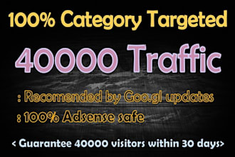 send 40k category targeted usa base real web traffic